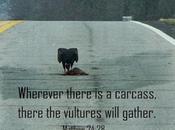 Scripture Photo: Vulture