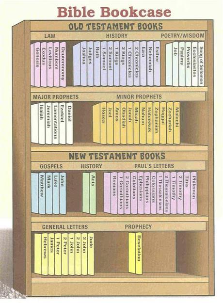 Back to Basics: How to Study Your Bible