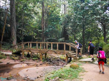 MALAYSIA | Gunung Datuk