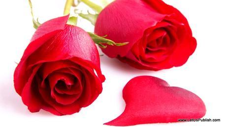 Romantic Red Roses HD Love Wallpaper for Valentine's day