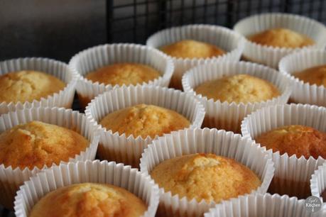 Vanilla Cup Cakes Vanilla Cup Cakes