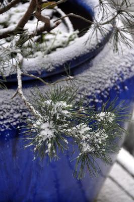 A Bit of Snow . . . and Very Cold