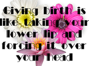 Uncle Built Shed Gave Birth