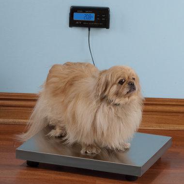 The Electronic Pet Scale