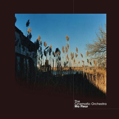 Cinematic Orchestra - To Build A Home