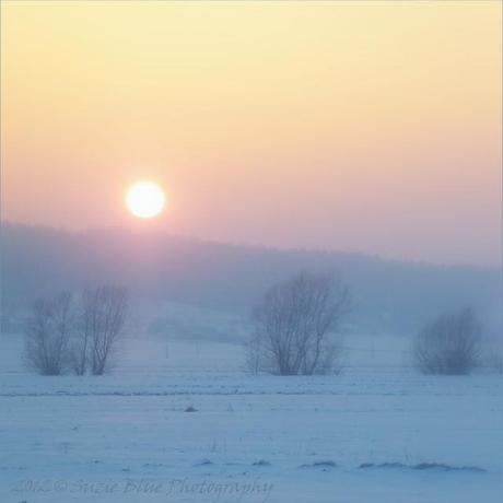 Winter Sunset