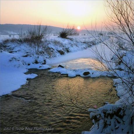 Winter Sunset