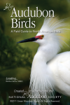 Finding birds with Audubon Guides