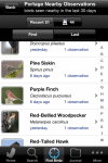 Finding birds with Audubon Guides