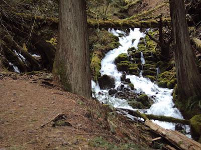 Sunday Hike At Wahkeena Falls