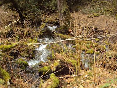 Sunday Hike At Wahkeena Falls