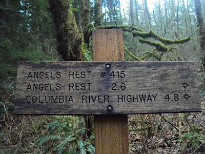 Sunday Hike At Wahkeena Falls