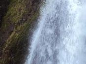 Sunday Hike Wahkeena Falls