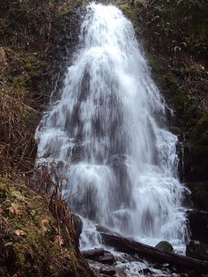 Sunday Hike At Wahkeena Falls