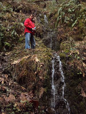 Sunday Hike At Wahkeena Falls