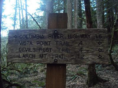 Sunday Hike At Wahkeena Falls