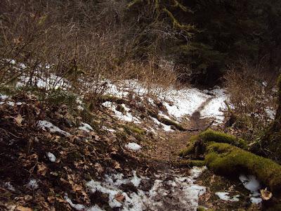 Sunday Hike At Wahkeena Falls