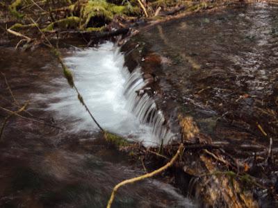 Sunday Hike At Wahkeena Falls