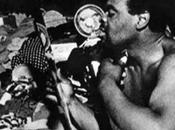 Documentary Dark Days