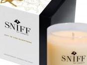 Aromatherapy Dogs: Sniff Candles