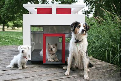 Bauhaus for dogs