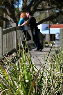 My Sister's Getting Married! My Sister's Getting Married!