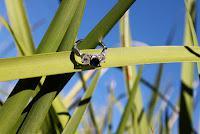 My Sister's Getting Married! My Sister's Getting Married!