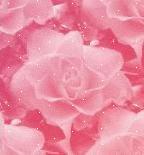 Light Pink Glitter Sparkle Roses Backgrounds