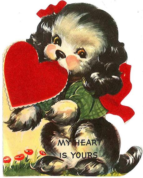 6863694817 1dfdc1b418 b Happy Valentine Endy Chihuahua!