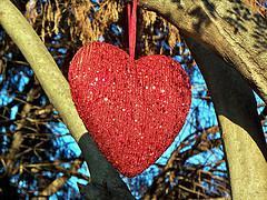 Valentine Heart in a Tree 1