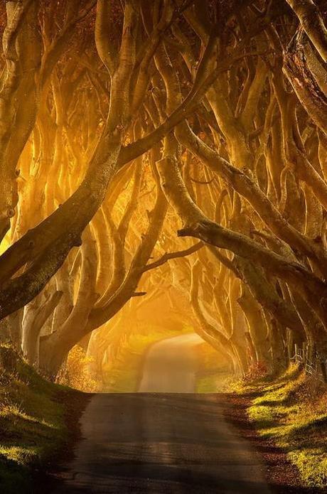 Romantic spaces and places
