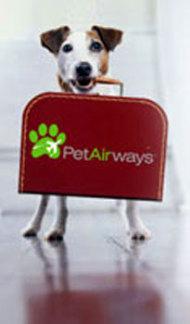 Pet Airways promotional image: image via petairways.com