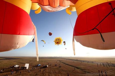 Fun From The Ground Up: Hot Air Balloon Fiesta