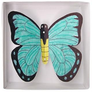 Butterfly Specimen in a Box