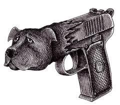 Avoidable Firearm Fatality - No Surprise, It's Gun-Lunatic Haven, Florida AGAIN