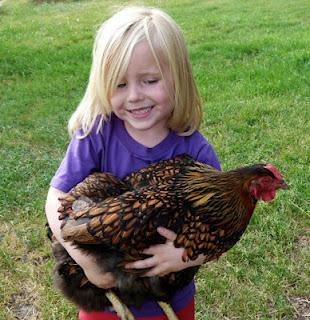 Free-Range Chicken Gardens