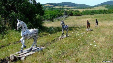 'Sticky' horse experiment tests how polarization of light effects attraction of horseflies: photo by G Horvath, image via BBC.co.uk/nature