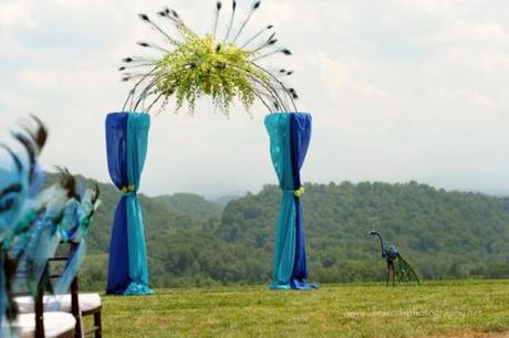 Peacock’s Rule the Roost at Chateau Selah Wedding