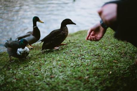 Love In York - by Chris Jackson | UK Wedding Blog