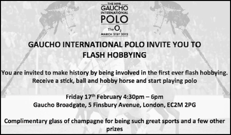 FLASH Hobby with Gaucho International Polo