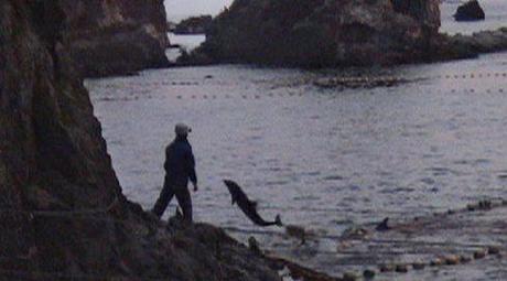 Documentary of the Day – The Cove