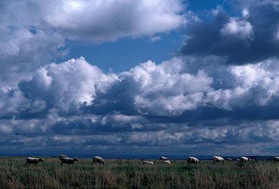 Oxfordshire:  A Weekend in the English Countryside, Fall 1998