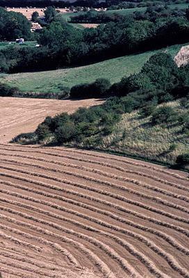 Oxfordshire:  A Weekend in the English Countryside, Fall 1998