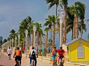 Making Holidays Perfect Time Foreign Language Schools