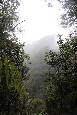 Our Mount Kinabalu Climb