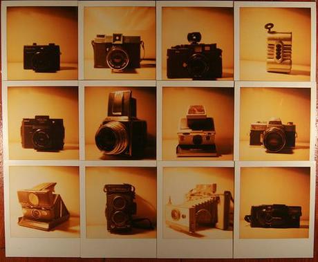 Polaroid Photos of Cameras