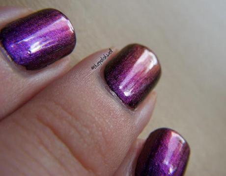 Ozotic: 505 *picture heavy*