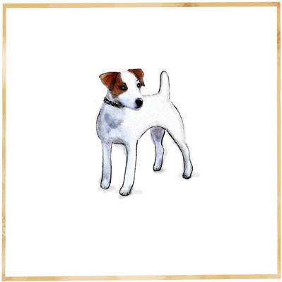 The Pet Set Jack Russell dog breed note card: © The Pet Set