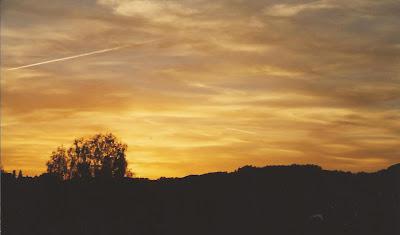 Neuschwanstein Castle Hike & Small Miracles