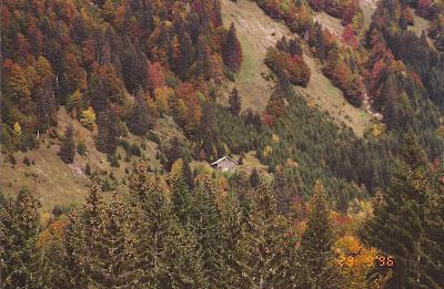 Neuschwanstein Castle Hike & Small Miracles